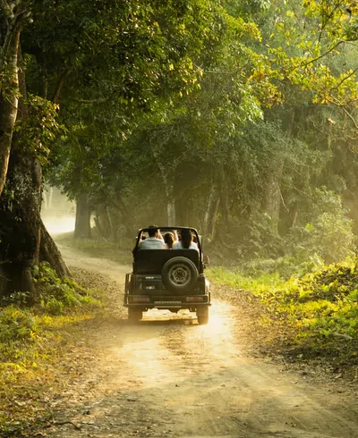 jungle-safari-baggan-683337fe91e3a