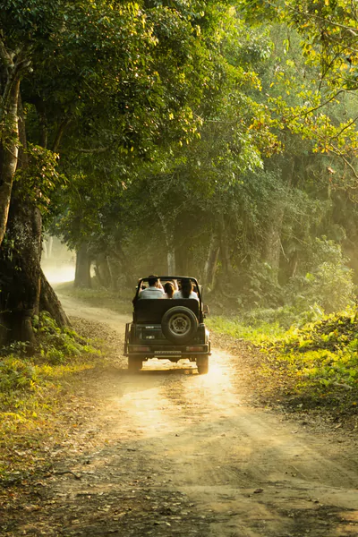 jungle-safari-baggan-683337fe91e3a